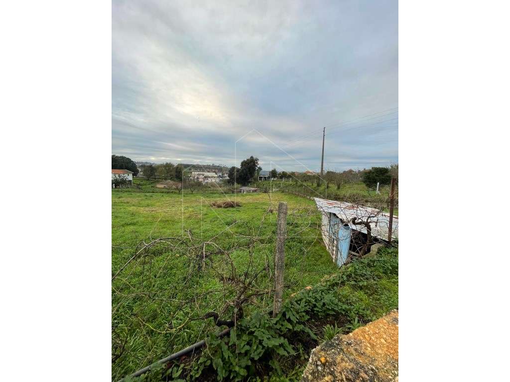 Terreno urbano na Borralha - Grande imagem: 2/6