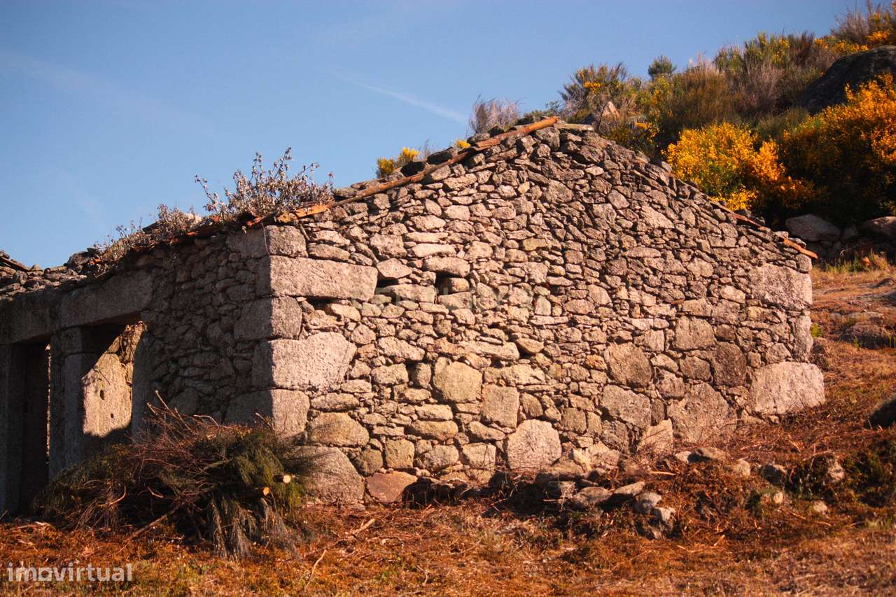 Terreno rústico São Vicente da Beira - Grande imagem: 5/35