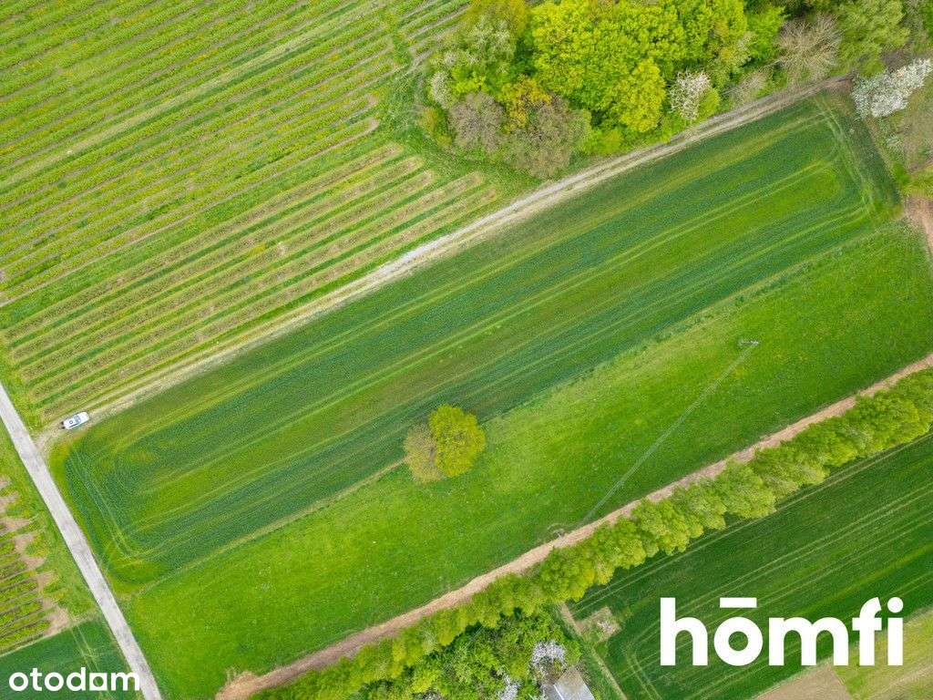 Malownicza działka w sąsiedztwie Nałęczowa - Pełny obrazek: 4/7