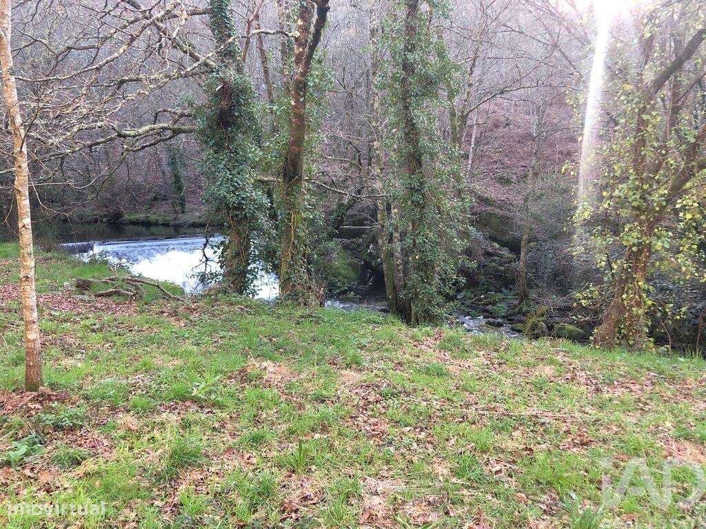 Terreno em Santa Cruz da Trapa e São Cristóvão de Lafões de 26728,00 m - Grande imagem: 3/30
