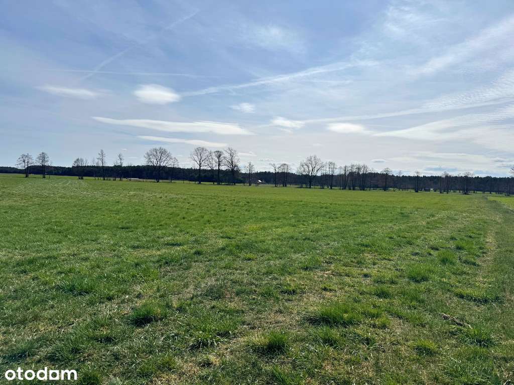 Grunty rolne w Stefanowicach - cena do negocjacji-5