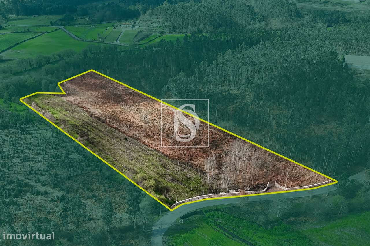 Terreno Rústico  Venda em Associação de freguesias do Vale do Neiva,Po-13