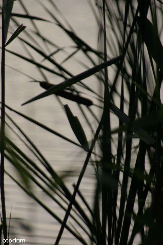 Wyjątkowy apartamnet do arażacji z tarasem-4