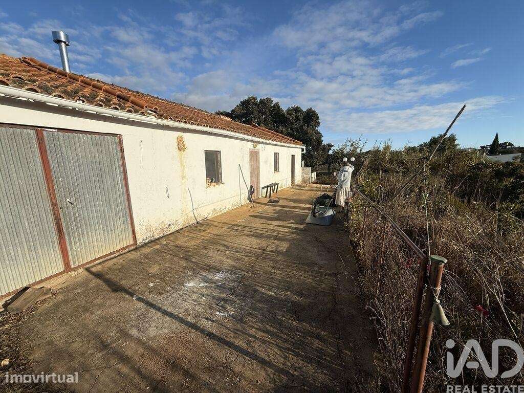 Quinta T3 em Colos - Grande imagem: 4/19