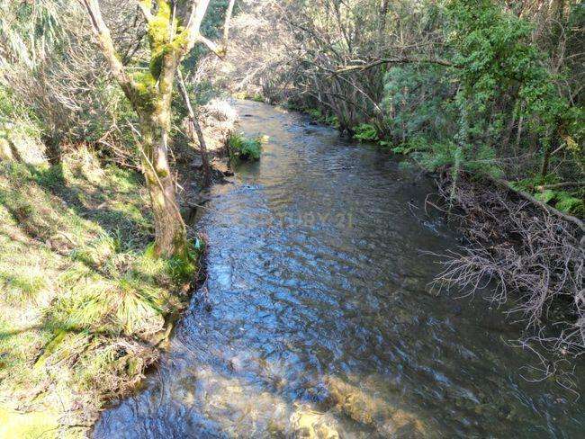 Moradia para reconstrução em Maçãs de D. Maria - Grande imagem: 4/20