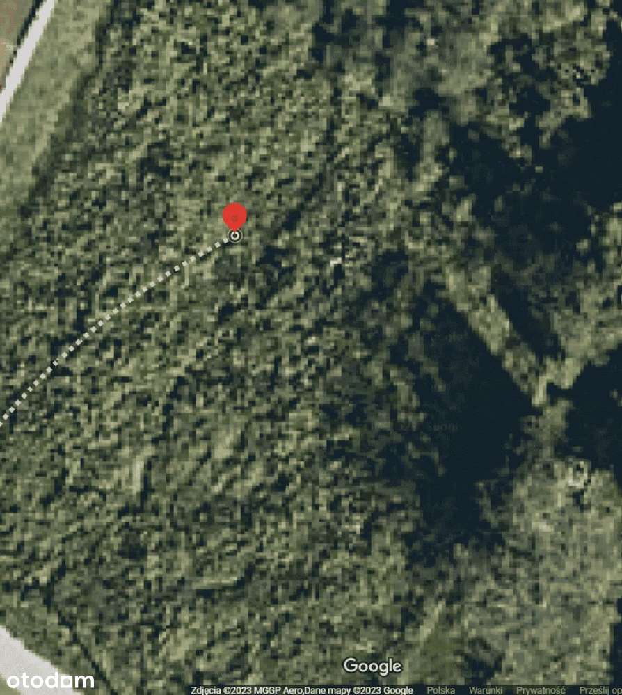Do wynajęcia działka o powierzchni 5000m2 .