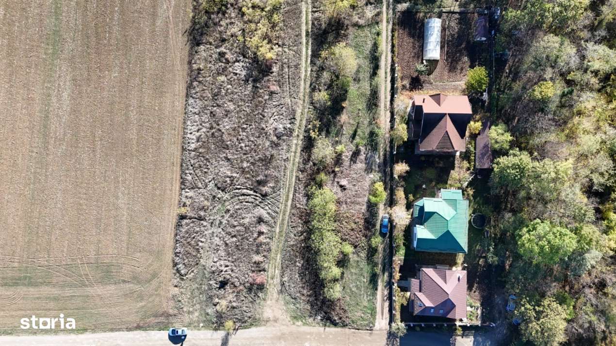 Snagov padure - Teren intravilan cu PUZ aprobat - Imagine principală: 5/9