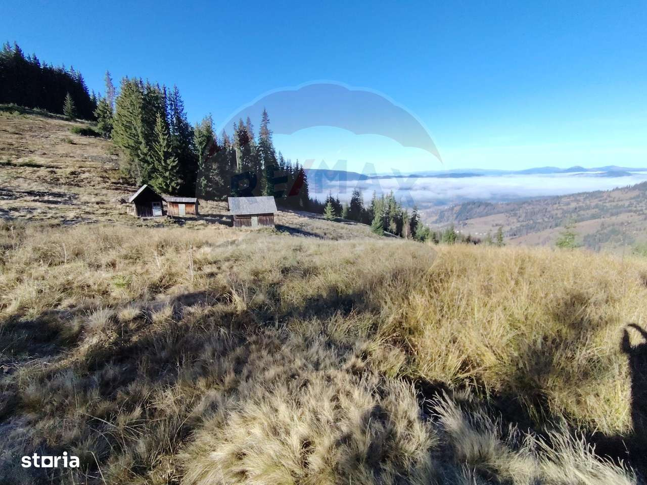 Teren 31,461mp Panaci / Prelungirea Ialovita-14