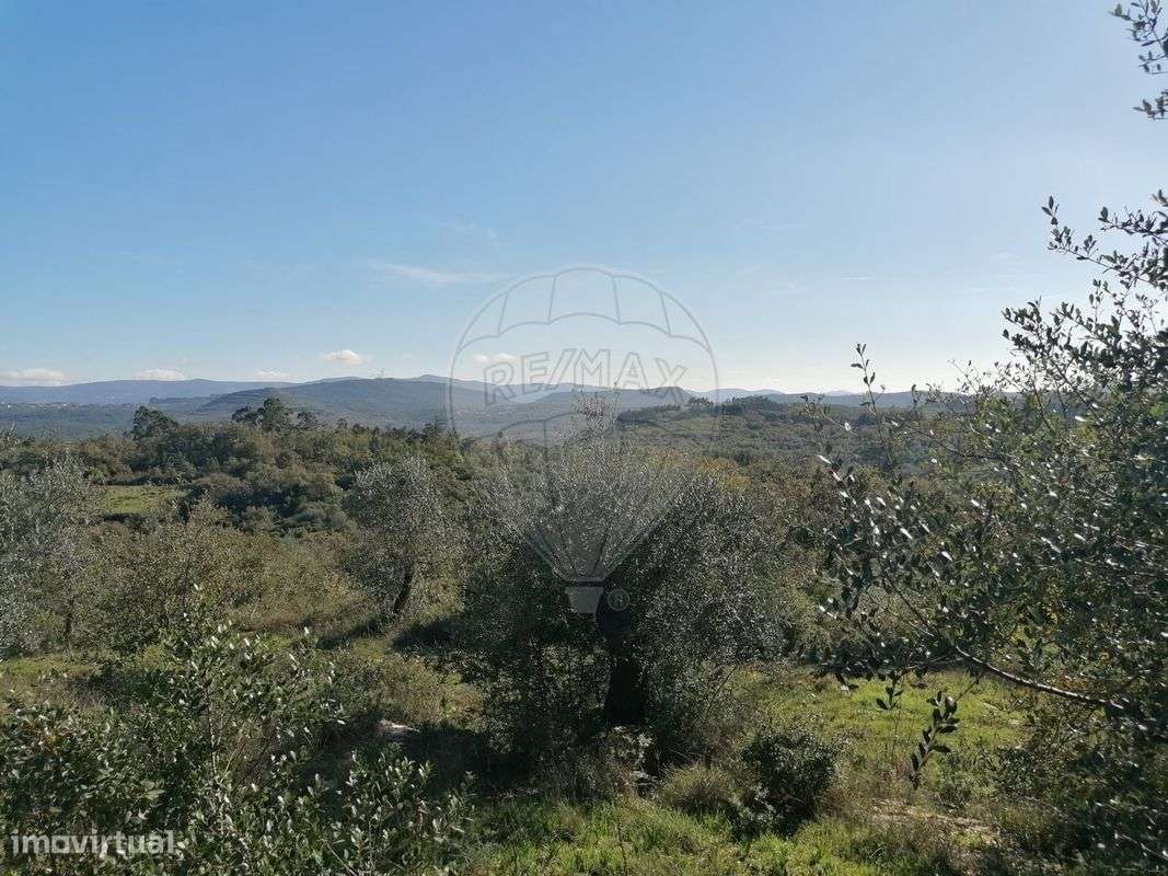 Terreno  para venda - Grande imagem: 4/5