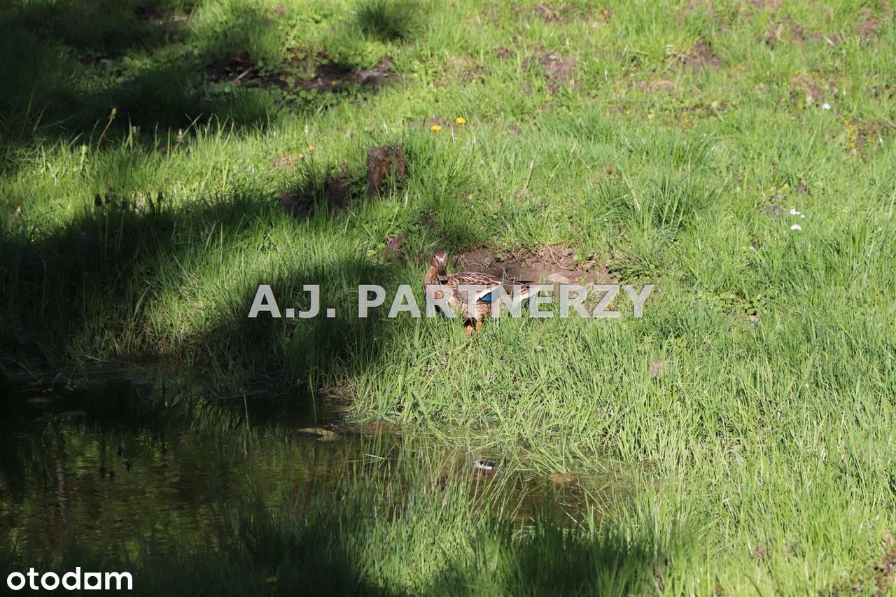 Widokowa działka w Lednicy k.Wieliczki-13