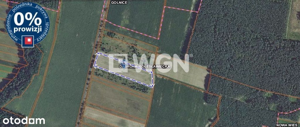 Działka, 17 400 m², Dąbrowa Bolesławiecka