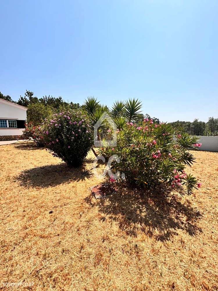 COIMBRÃO-------Venda global de Moradia individual T3 inserida em terre-29