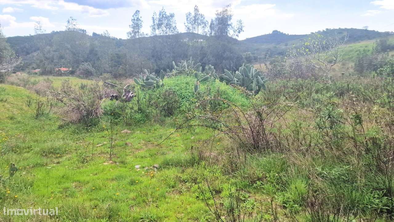 Terreno com Ruina -  S. Bartolomeu de Messines - Grande imagem: 3/15