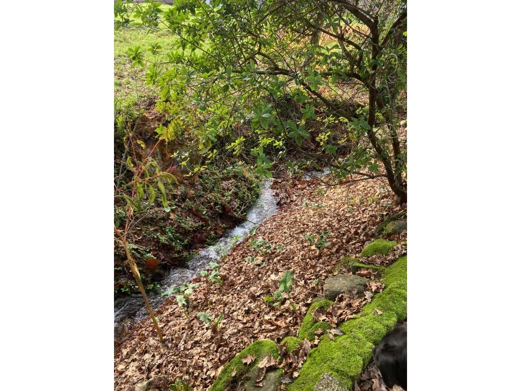 Ruína em Pedra com Vista Deslumbrante - Rio Douro, Cabeceiras de Basto-8