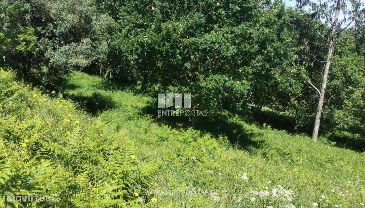 Terreno para venda, Vilarelho, Caminha - Grande imagem: 4/12