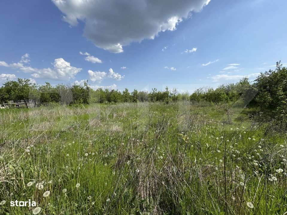 Teren intravilan, 1843 mp, front 32 ml, zona  Sarbatoarea - Imagine principală: 2/16