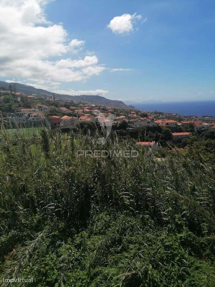QUINTA HISTÓRICA VISTA FUNCHAL-10