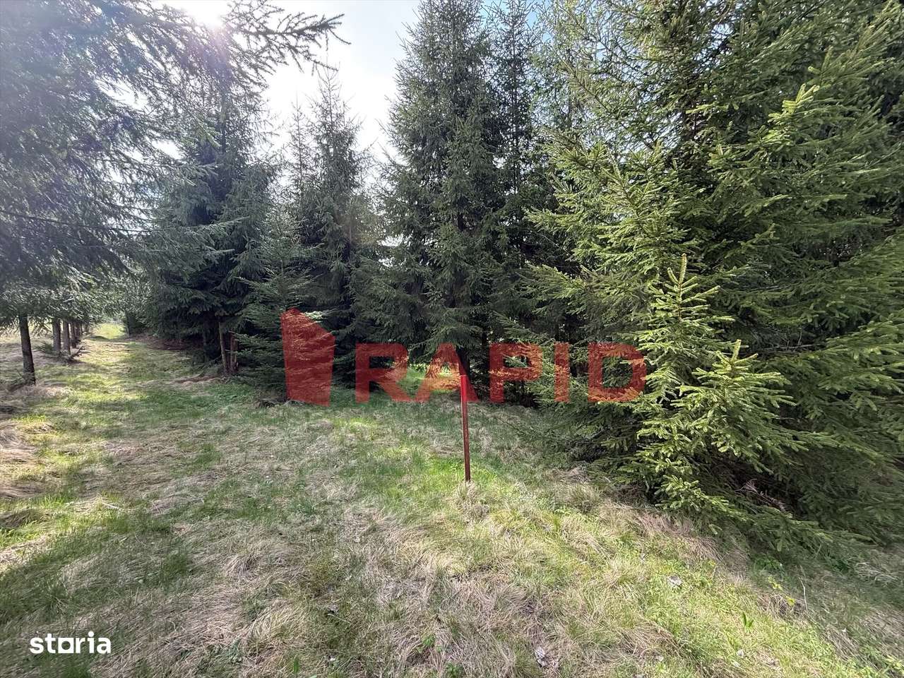 Teren intravilan 5.600mp, Colibița - Imagine principală: 2/5