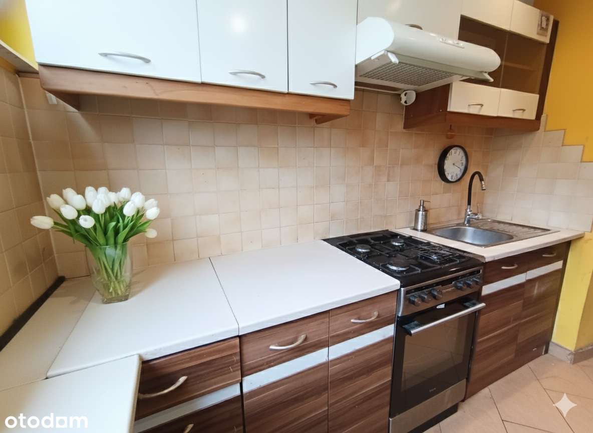 Dla RODZINY lub Seniora 4 pokoje ZIELONY i SŁONECZNY Klimontów - Pełny obrazek: 4/8