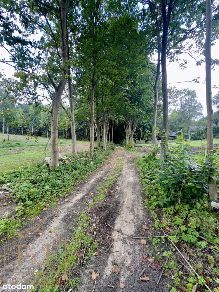 ** Działka pod zabudowę w samym sercu lasu **-1