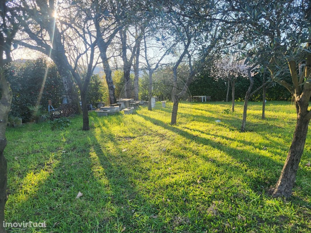 Terreno  para venda