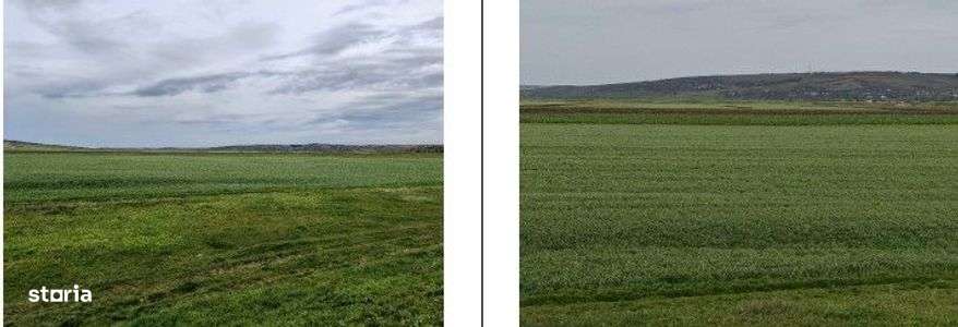 Teren Andrieseni, cota parte 1/20, ID: R2603082 - Imagine principală: 5/10