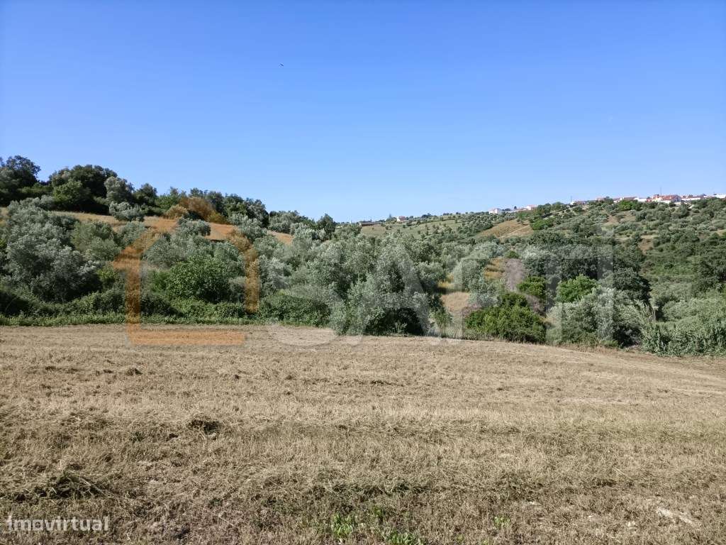 Terreno urbanizável Concelho Santarém - Grande imagem: 5/15