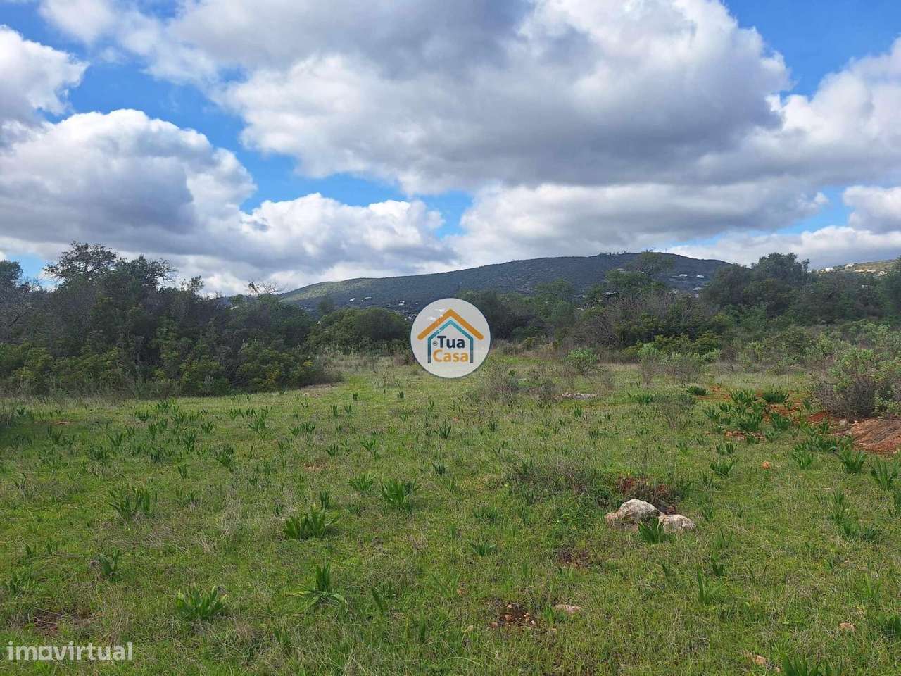 Terreno com ruína - Grande imagem: 3/18