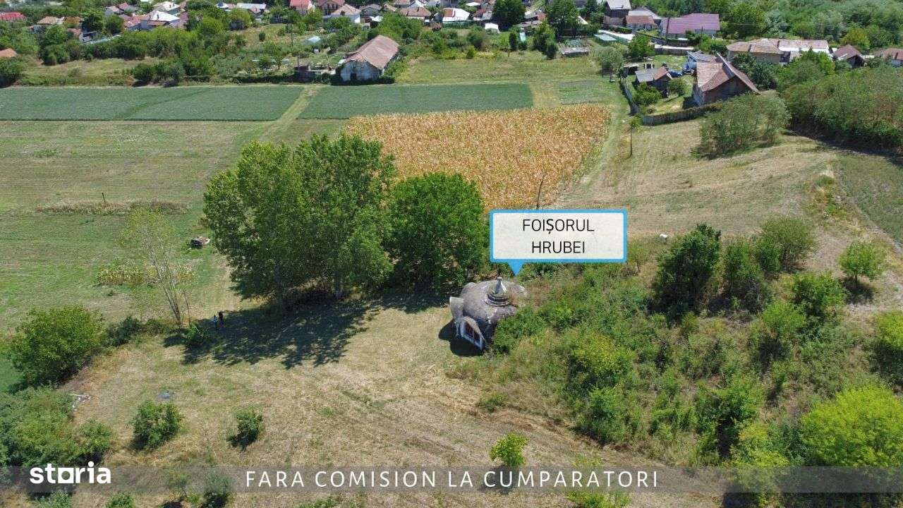 CRAMA - Oportunitate Unica in Domeniul Viticol-4