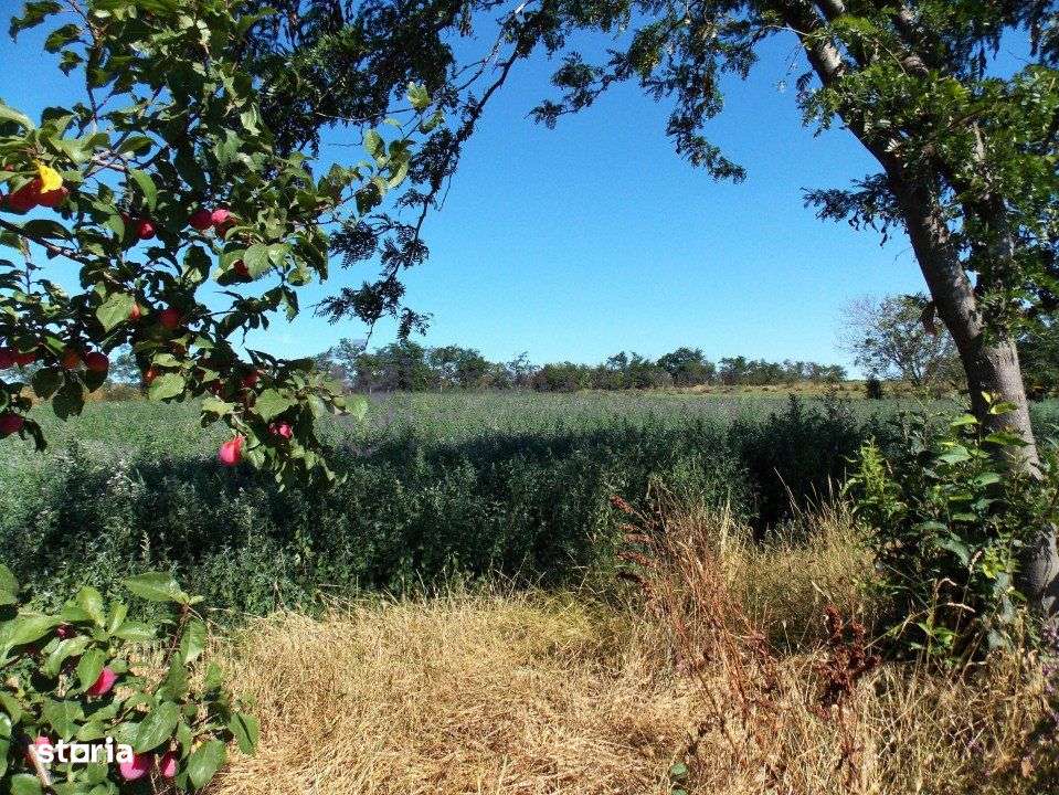 TUZLA - Teren intravilan 1000 mp, langa lacul Techirghiol!-0