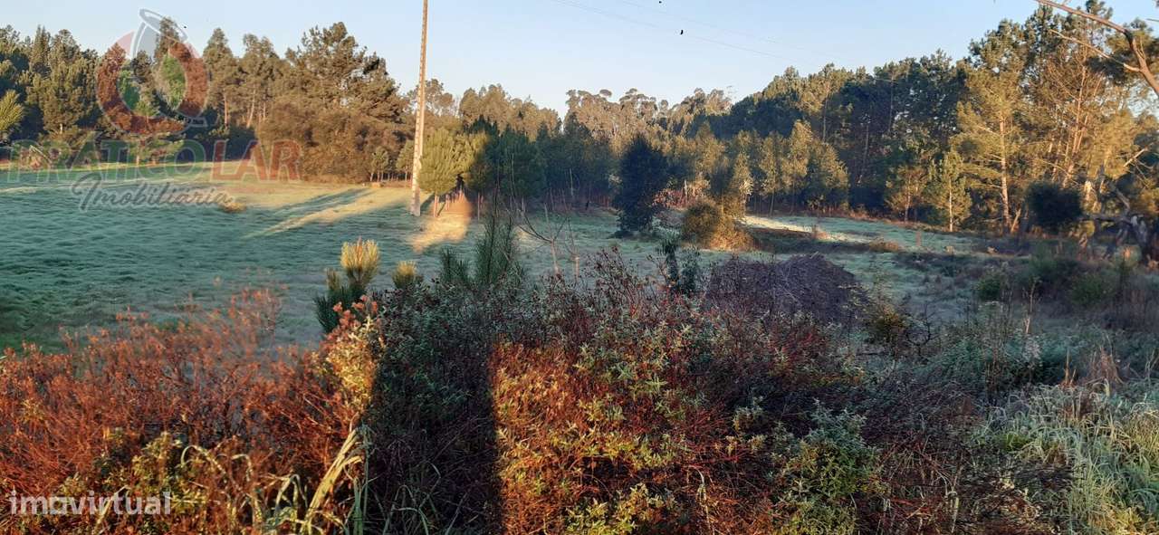 Terreno c viabilidade p construção Oliveira do Bairro - Grande imagem: 2/11