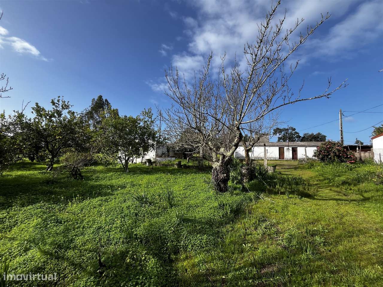 Terreno Urbano  Venda em Cortiçadas de Lavre e Lavre,Montemor-o-Novo - Grande imagem: 3/16