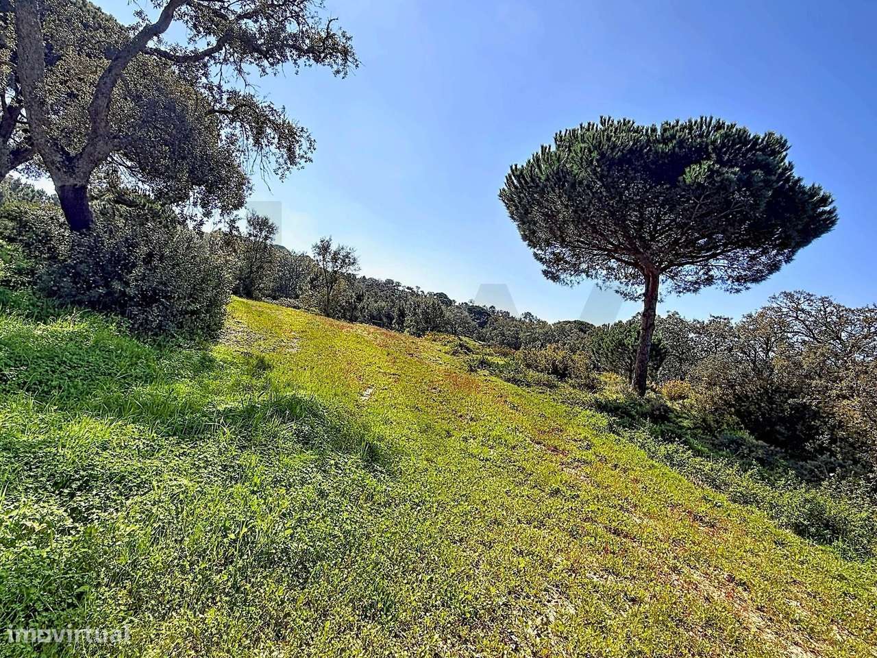 Terreno rústico de 80.000m2 com viabilidade de construção, em Sesimbra - Grande imagem: 5/27