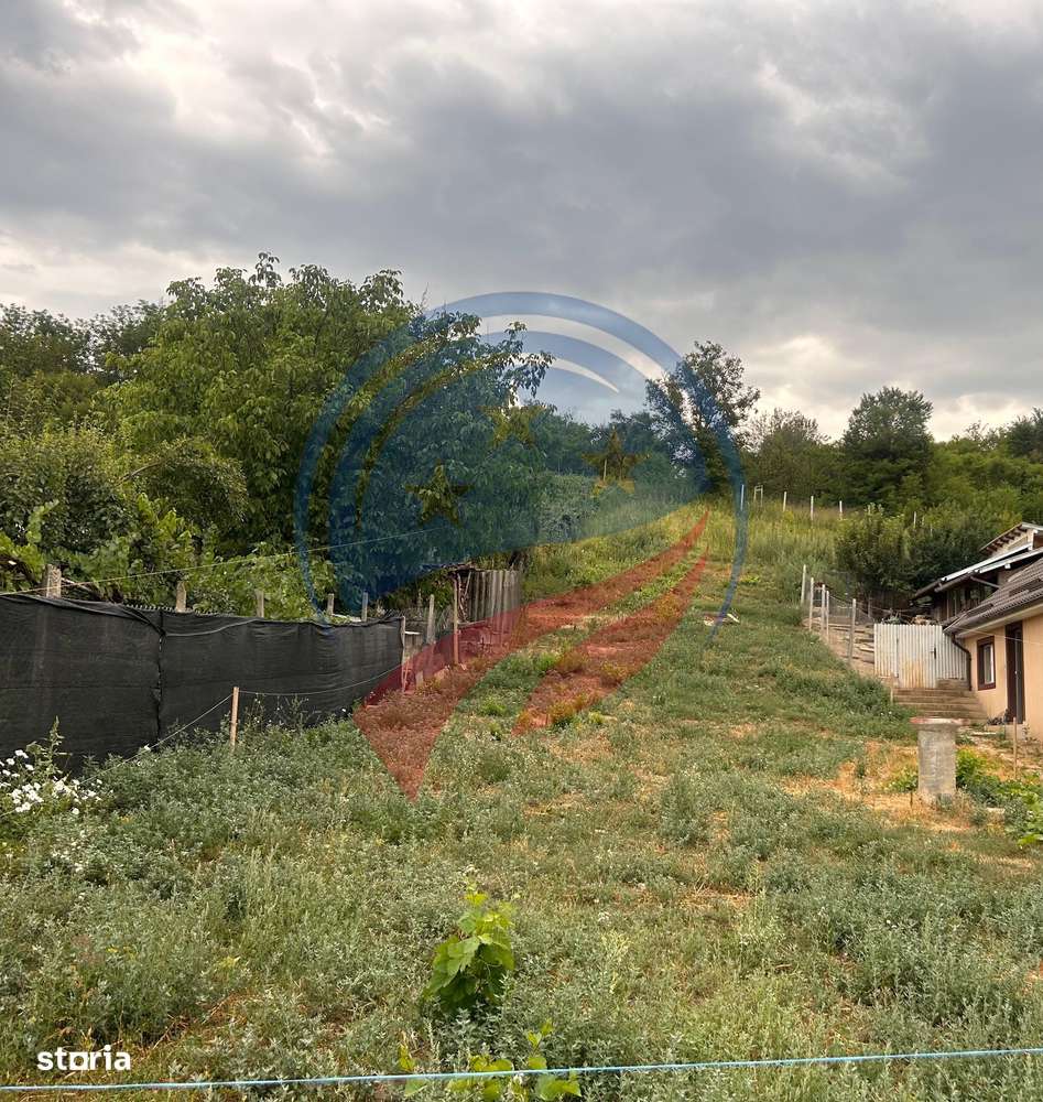 Teren de vanzare in  Breasta - Imagine principală: 3/3