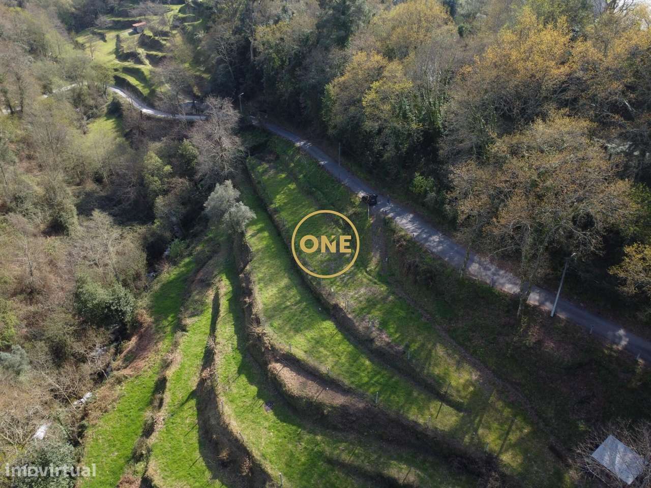 Terreno Agrícola com 5.695 m2 em Chorense – Terras de Bouro - Grande imagem: 3/11