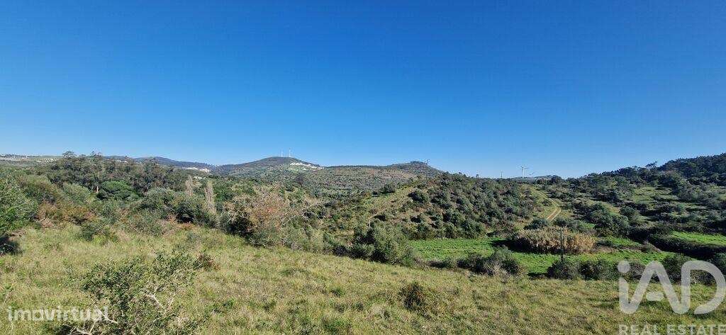 Terreno em Venda do Pinheiro e Santo Estêvão das Galés de 5375,00 m2 - Grande imagem: 4/25