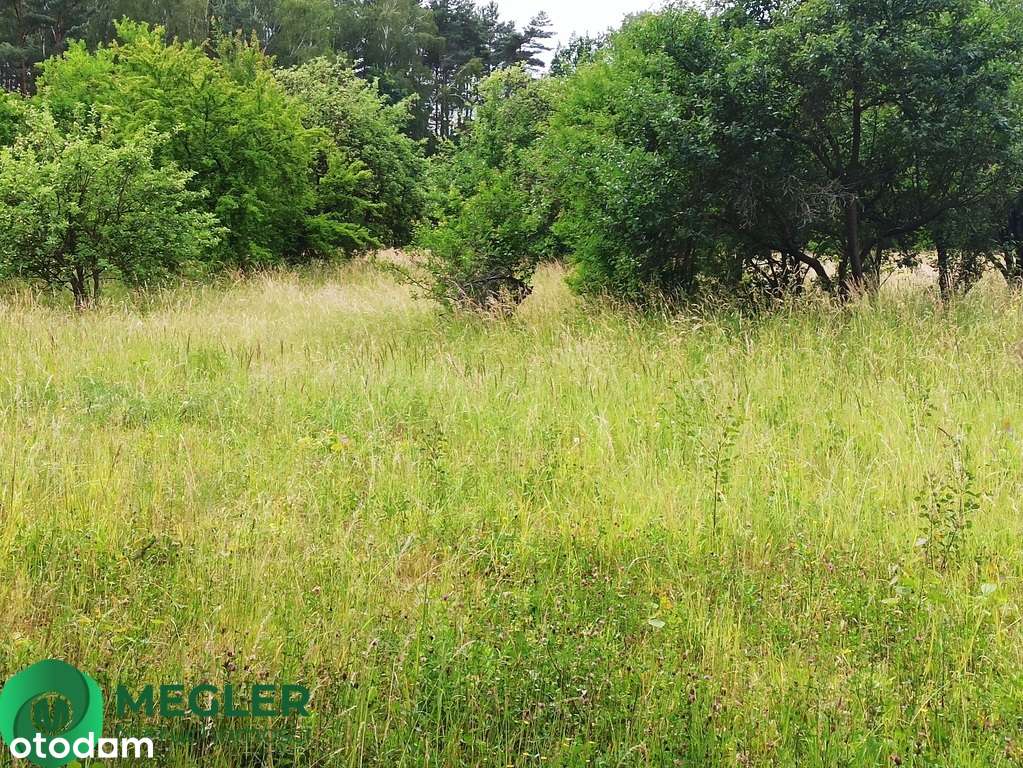 Działka niedaleko lasu-0