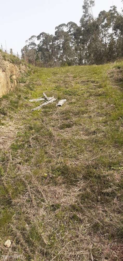 Terreno urbanizável em Sanguedo, Santa Maria da feira-15
