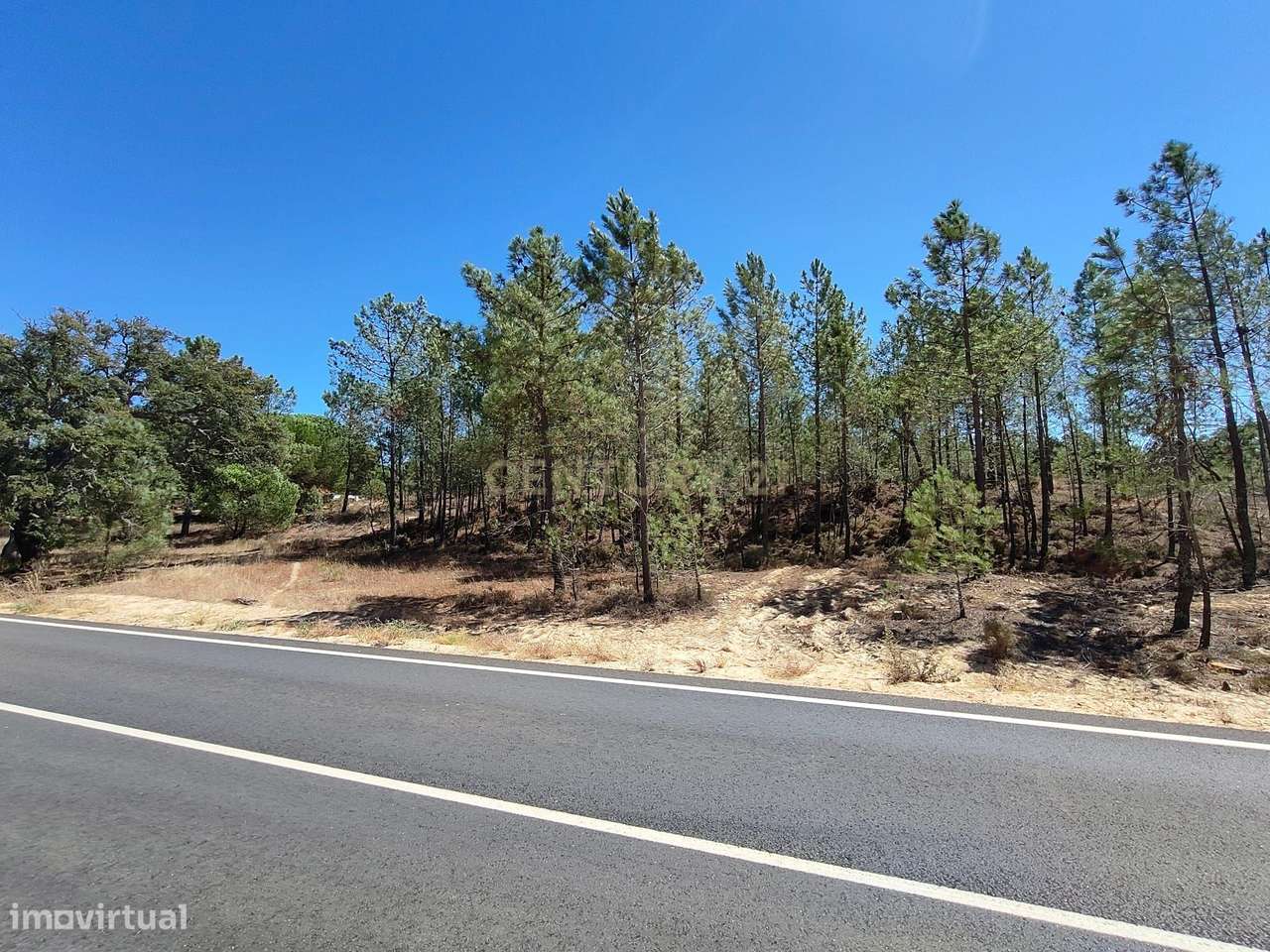 Terreno Rústico em Melides/Grândola - Grande imagem: 5/29