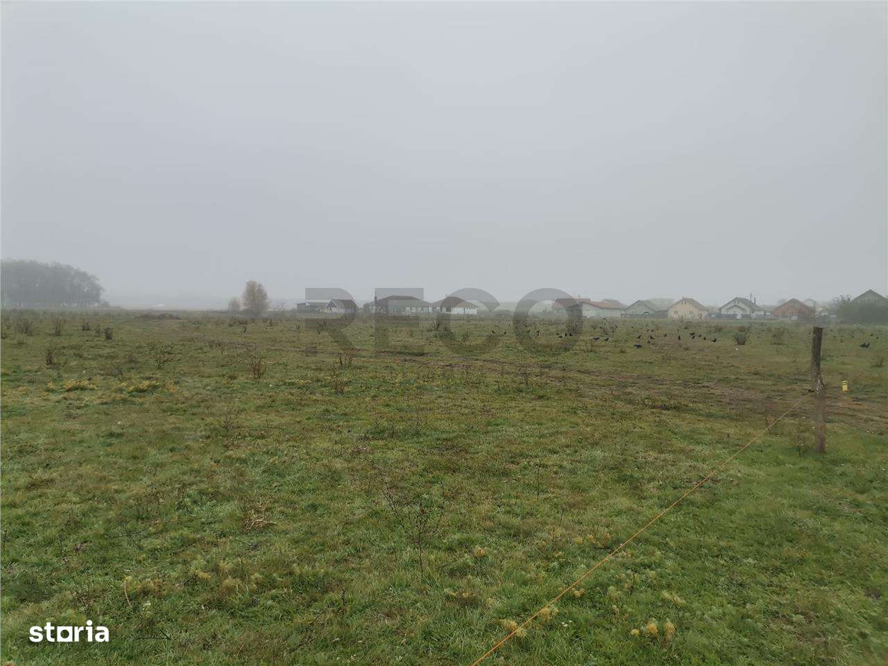 RECO Teren intravilan in Biharia - Imagine principală: 4/4