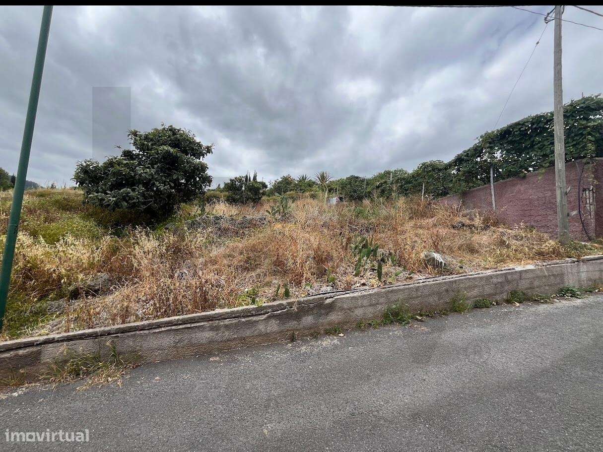 Terreno em Gaula I Construa a sua casa de Sonho-11