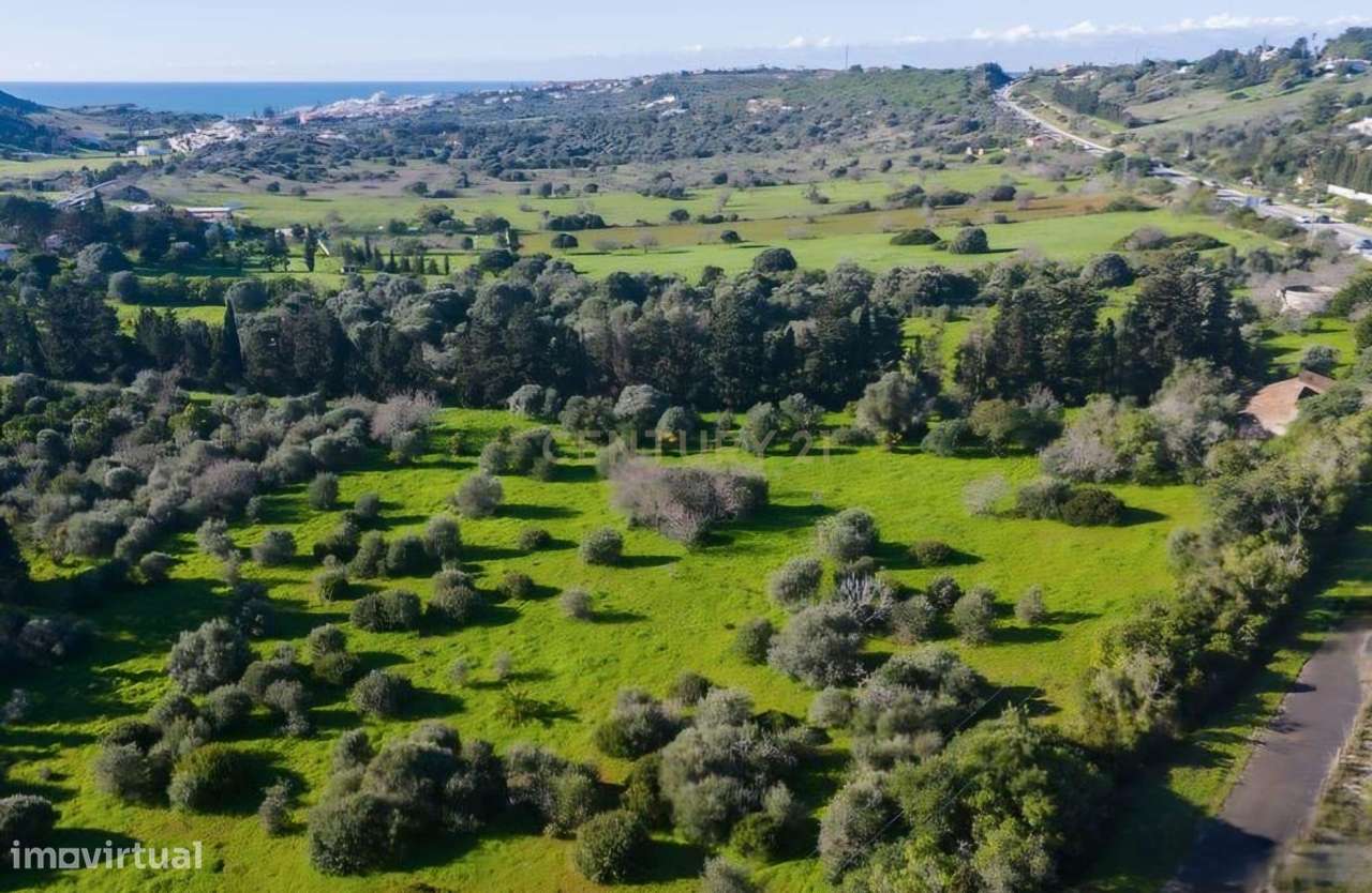 Quinta em Lagos, Praia da Luz,  46.000 m2, 2 casas e 2 Armazéns-29