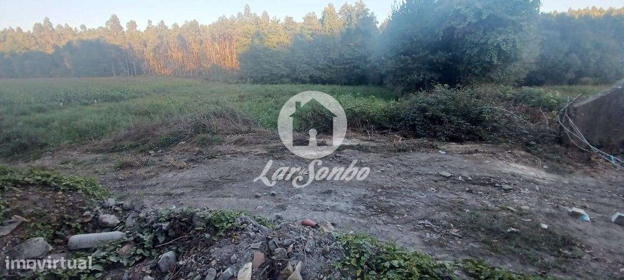 Terreno agrícola com 2.100 m2 em Ribeirão - Grande imagem: 5/6