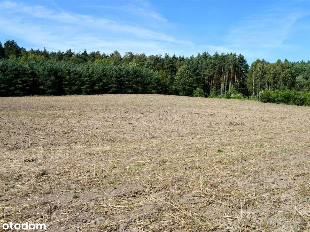 Działka rolna - Ostroróg-17