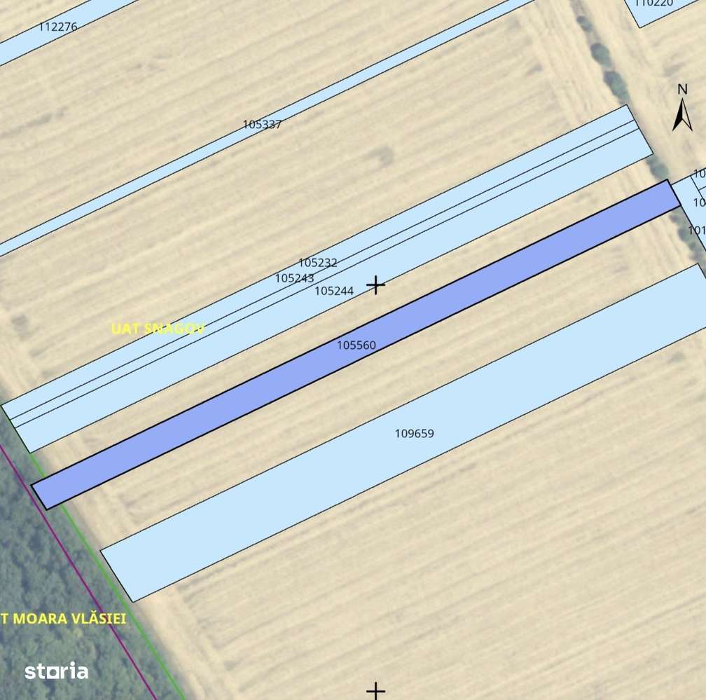 teren intravilan 4950 mp, com Snagov-Caciulati-0
