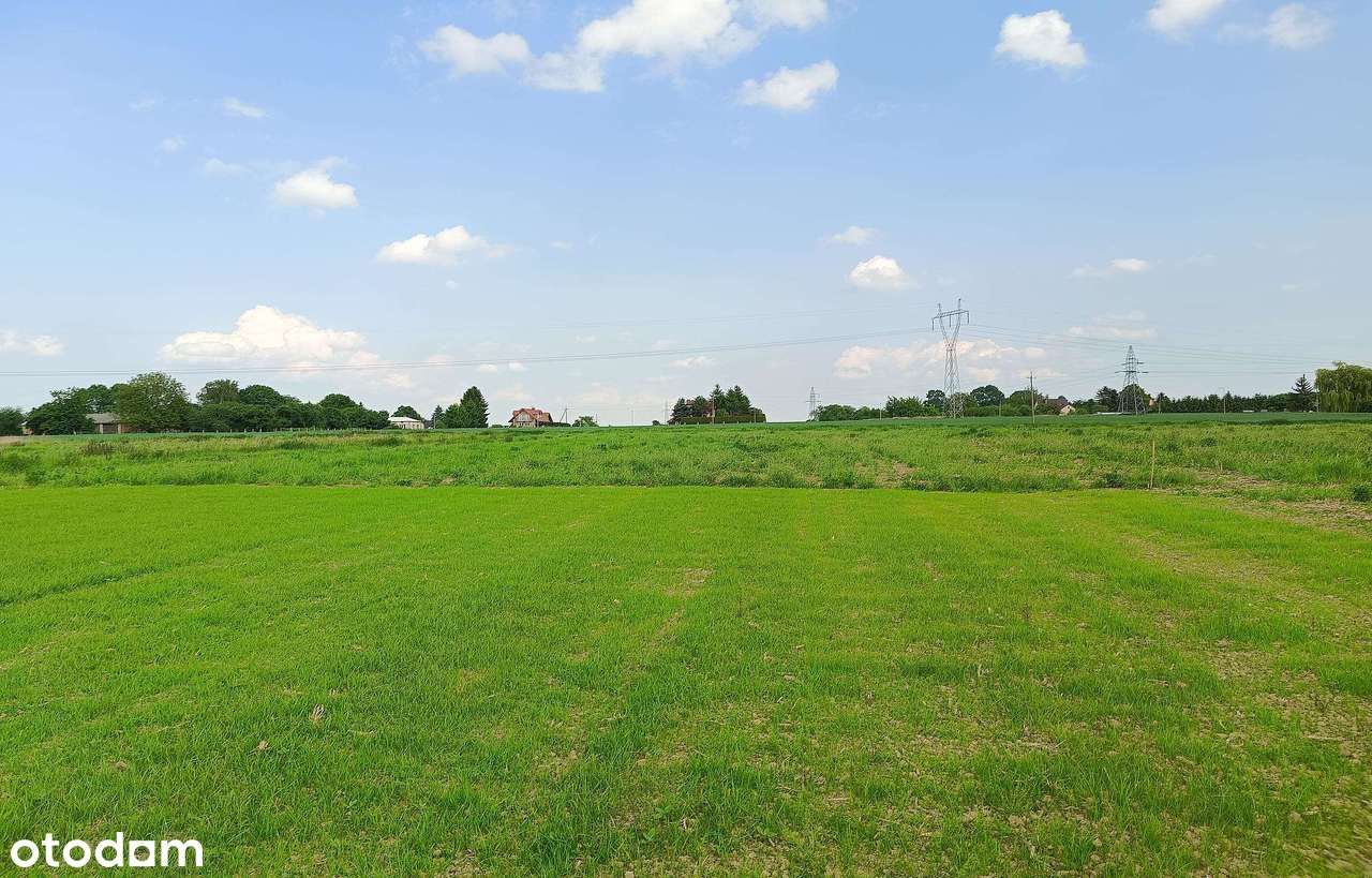 Działki Szopinek, 1 km od Zamościa - Pełny obrazek: 5/14