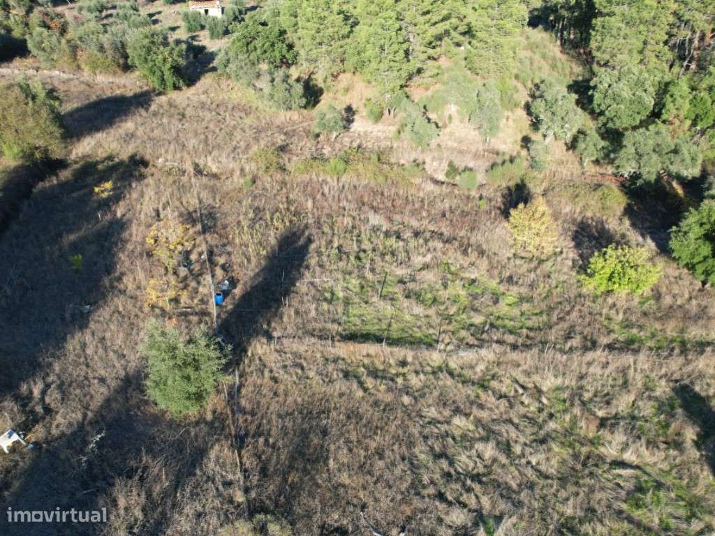 Fantástica Quinta T3 em Palvarinho - Grande imagem: 3/46