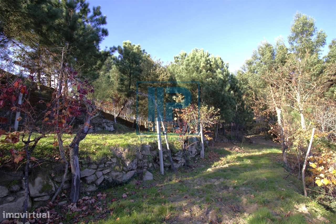 Quinta T3+1 Venda em Penhalonga e Paços de Gaiolo,Marco de Canaveses-32