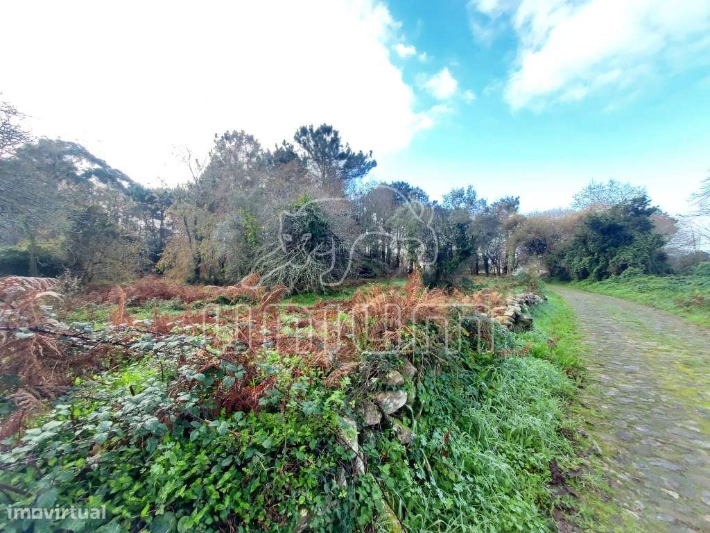 TERRENO - Afife, Viana do Castelo - Grande imagem: 5/6