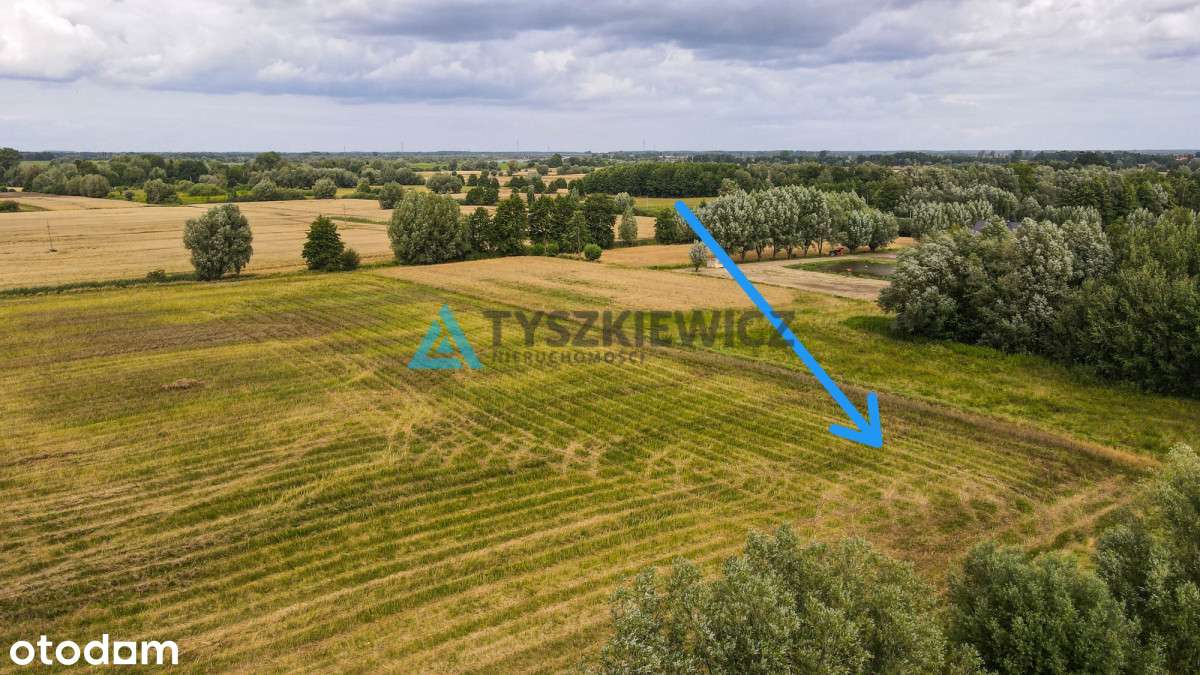 Działka blisko Ostaszewa - Piaskowiec, pow. 3000m2 - Pełny obrazek: 5/18